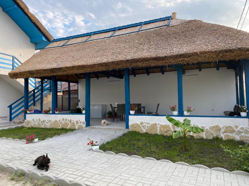 Отель Casa Munteanu Мила-Доуэзечи-ши-Трей Экстерьер фото